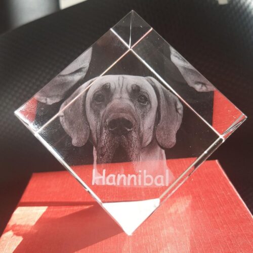 3d krystalglas med kæledyr og navn